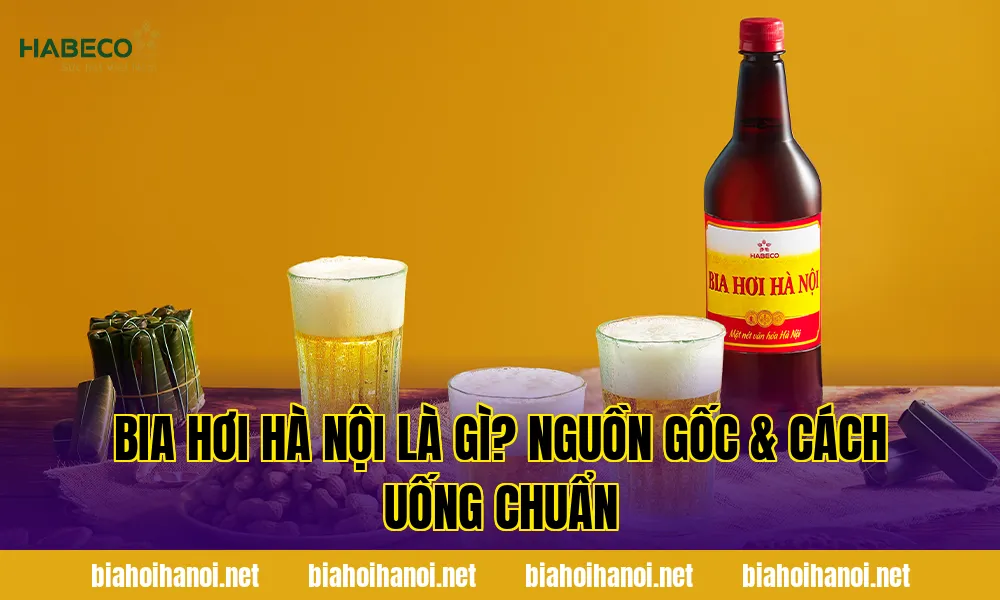 Bia Hơi Hà Nội Là Gì? Nguồn Gốc & Cách Uống Chuẩn